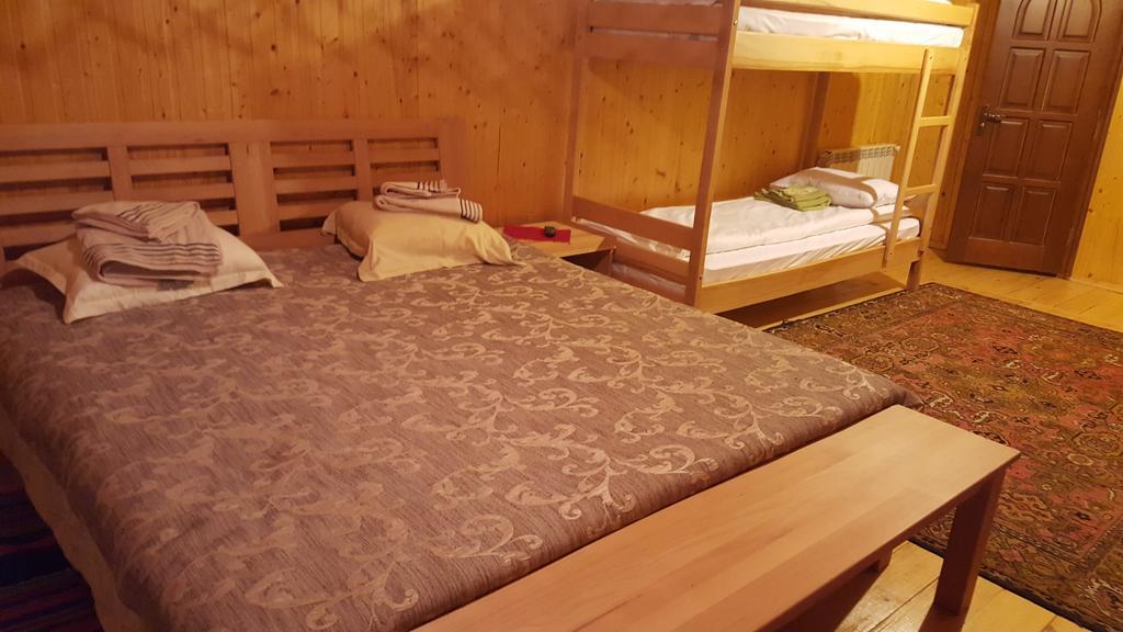 Guest House In Carpathians เมยโฮโว ห้อง รูปภาพ